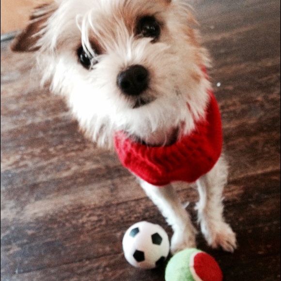 Meet your Posher, ZAO - Picture 1 of 1